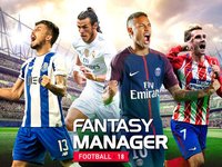 Fantasy Manager Soccer 2018 screenshot, image №928846 - RAWG