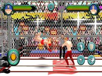 Wrestling Cage Revolution Game screenshot, image №908864 - RAWG