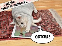 Lucky Cat Lottery Numbers - Catch Game For Cats screenshot, image №1739534 - RAWG