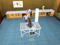 Pet Vet 3D: Wild Animal Hospital screenshot, image №478407 - RAWG