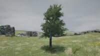 Tree Simulator 2021 screenshot, image №3955321 - RAWG