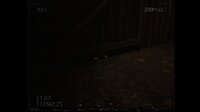 What Happened to Lily? screenshot, image №4229293 - RAWG
