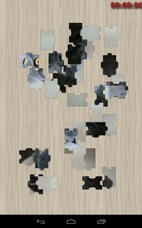 Pet Puzzle screenshot, image №1459562 - RAWG