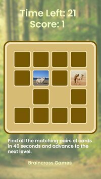 Mind Cards (Braincross) screenshot, image №2901946 - RAWG