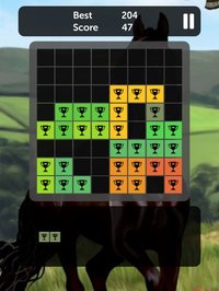 Horse Blocks - Puzzle Games screenshot, image №902924 - RAWG