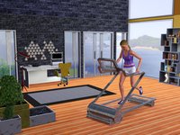 The Sims 3: High-End Loft Stuff screenshot, image №547332 - RAWG