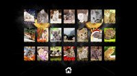 Kitty Cat: Jigsaw Puzzles screenshot, image №146099 - RAWG