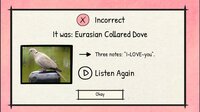 BirdLingo: A birdsong learning game screenshot, image №4080158 - RAWG