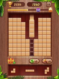 Wood Puzzle Block Classic screenshot, image №3094491 - RAWG