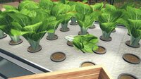 Hydroponics Farm & Store Simulator screenshot, image №4111035 - RAWG