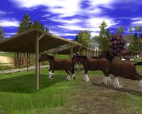 Wildlife Park 2 - Horses screenshot, image №151713 - RAWG