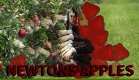 NewtonsApple screenshot, image №3090160 - RAWG