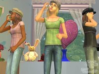 The Sims 2: Teen Style Stuff screenshot, image №484675 - RAWG