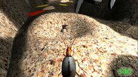 Insect: Bombardier beetle screenshot, image №2648584 - RAWG