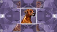 Poly Puzzle: Dogs screenshot, image №3179633 - RAWG