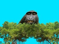 Monke Clicker screenshot, image №3514351 - RAWG