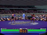 K-1 The Arena Fighters screenshot, image №2420444 - RAWG