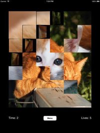 Flipping Fun screenshot, image №2057235 - RAWG