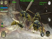 Wasp Nest Simulator 3D screenshot, image №936097 - RAWG