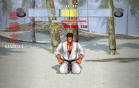 Karate Master 2 Knock Down Blow screenshot, image №136680 - RAWG