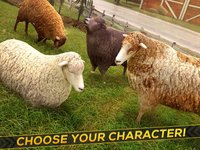 Sheep Racing Adventure in The Tiny Virtual Pet Town screenshot, image №871943 - RAWG