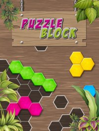 Puzzle Solving - Block Game screenshot, image №2098891 - RAWG