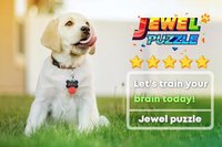 Jewel Blast - Block Puzzle & Jigsaw Puzzle screenshot, image №2070944 - RAWG