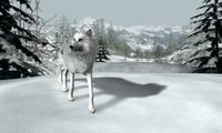 Nancy Drew: The White Wolf of Icicle Creek screenshot, image №98056 - RAWG