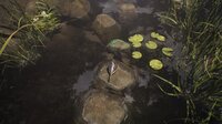 Aquaphobia (itch) (husseini) screenshot, image №3546642 - RAWG