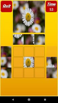 Puzzle My Mind Pro screenshot, image №1400690 - RAWG
