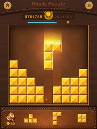 Wood Puzzle - Block Pop screenshot, image №1804891 - RAWG