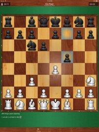 Real Chess Professional screenshot, image №2574227 - RAWG