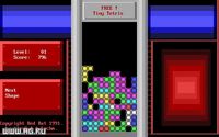 Tiny Tetris screenshot, image №339272 - RAWG