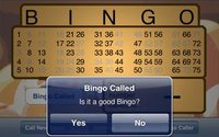 Bingo Caller screenshot, image №949351 - RAWG