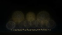 FWsim - Fireworks Display Simulator screenshot, image №2718269 - RAWG
