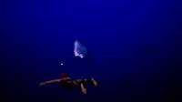 DeepSea Serenity: VR Underwater Trip screenshot, image №4000692 - RAWG