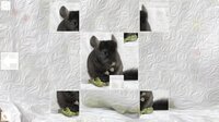 Puzzle Art: Rodents screenshot, image №3077261 - RAWG