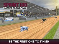 Sprint 100 Meter Dog Racing: Race Dogs On Tracks screenshot, image №1780161 - RAWG