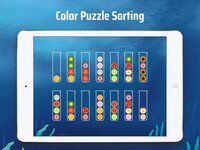 Ball Sort - Color Puzzle Games screenshot, image №3197002 - RAWG