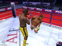 Worldwide Boxing Manager screenshot, image №463120 - RAWG