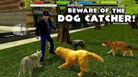 Stray Dog Simulator screenshot, image №1560557 - RAWG