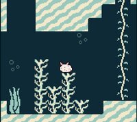 funny slug game (ludum dare 48) screenshot, image №2823247 - RAWG
