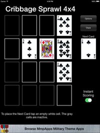 Cribbage Square Collection screenshot, image №1612423 - RAWG