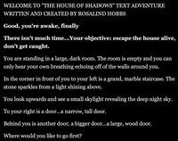 Text Adventure: The House of Shadows screenshot, image №2747484 - RAWG