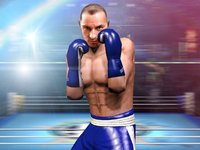 Boxing Punch 3D screenshot, image №2170735 - RAWG