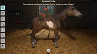 My Life: Farm Vet screenshot, image №4022893 - RAWG