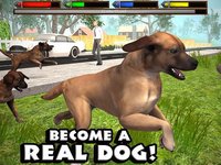 Ultimate Dog Simulator screenshot, image №1559953 - RAWG