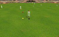 Croquet Pro 2:6 Wicket Edition screenshot, image №1679656 - RAWG