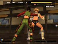 Dead or Alive Online screenshot, image №480248 - RAWG