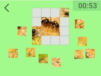 Ultimate Puzzles Insects screenshot, image №2881523 - RAWG